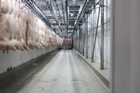 Ação do MTE interdita atividades e movimentação de cargas em frigorífico de suínos no RS