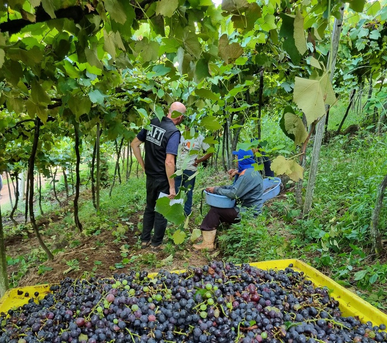 WhatsApp Image 2025-05-23 at 17.19.34.jpeg