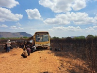 Força-tarefa resgata 108 trabalhadores em situação análoga à escravidão em Goiás