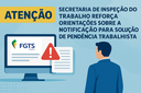 NLFC - capa.png