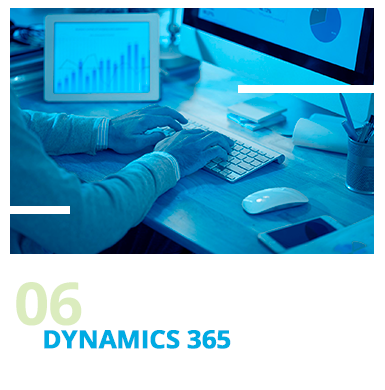 06 - Dynamics 365.png