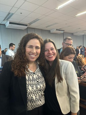 Reunião Conjunta da Rede de Parcerias - Elo Estados e Elo Municípios