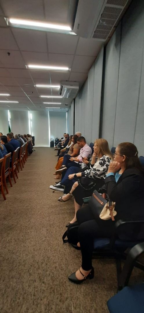 07/06/2024 - Reunião Conjunta do Comitê Gestor da Rede de Parcerias - Elo Estados e Municípios