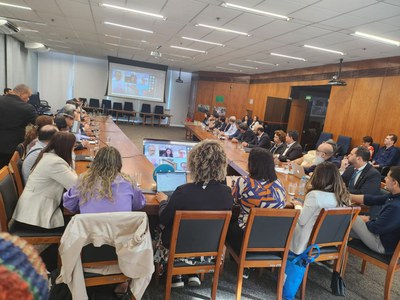 07/06/2024 - Reunião Conjunta do Comitê Gestor da Rede de Parcerias - Elo Estados e Municípios