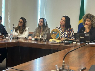 07/06/2024 - Reunião Conjunta do Comitê Gestor da Rede de Parcerias - Elo Estados e Municípios