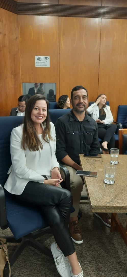 07/06/2024 - Reunião Conjunta do Comitê Gestor da Rede de Parcerias - Elo Estados e Municípios