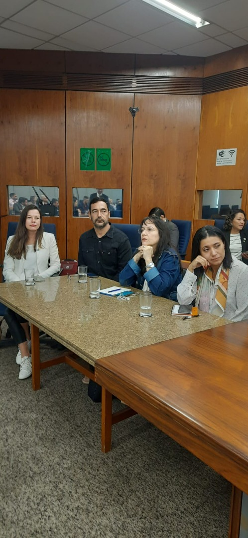 07/06/2024 - Reunião Conjunta do Comitê Gestor da Rede de Parcerias - Elo Estados e Municípios