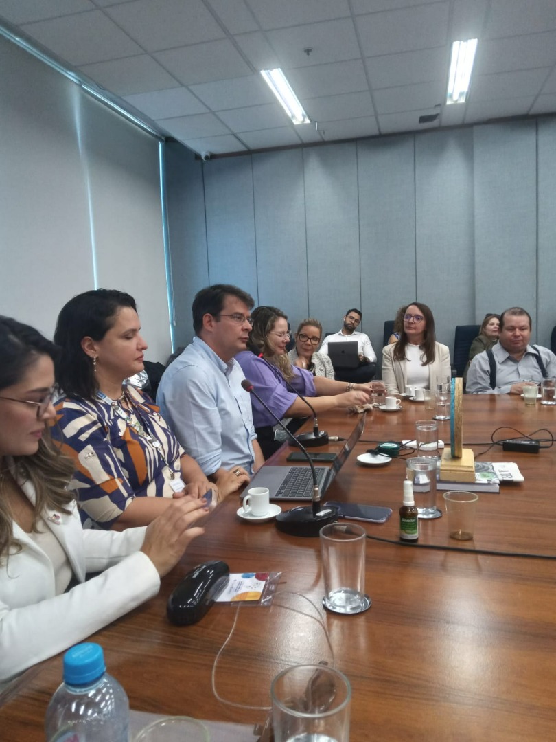 07/06/2024 - Reunião Conjunta do Comitê Gestor da Rede de Parcerias - Elo Estados e Municípios