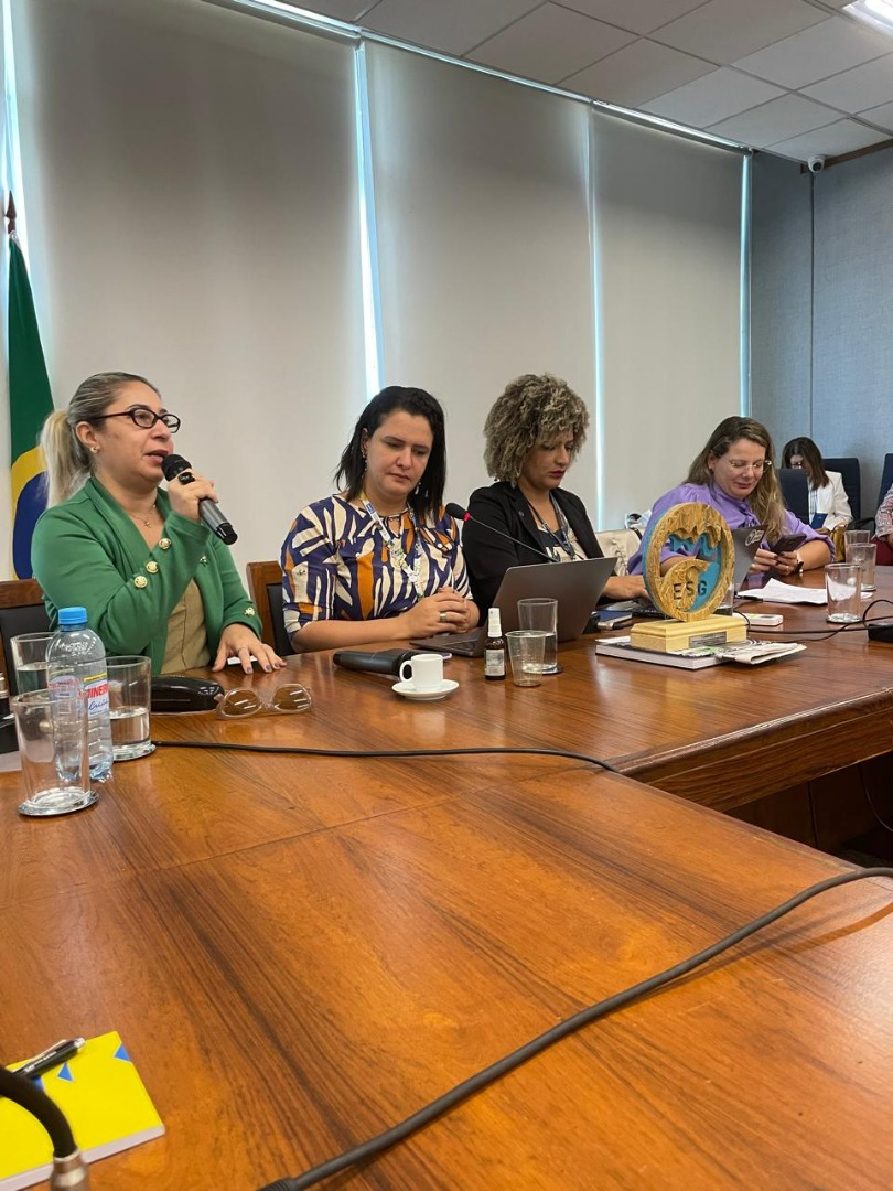 07/06/2024 - Reunião Conjunta do Comitê Gestor da Rede de Parcerias - Elo Estados e Municípios