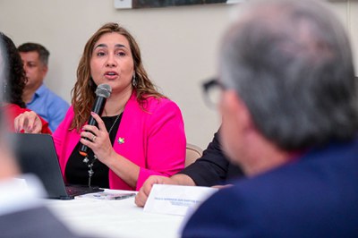 Reunião sobre Fórum Regional de Fortalecimento da Rede de Parcerias