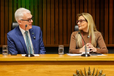 13.08.2025 - 34° Fórum Regional de Fortalecimento da Rede de Parcerias - Etapa RS