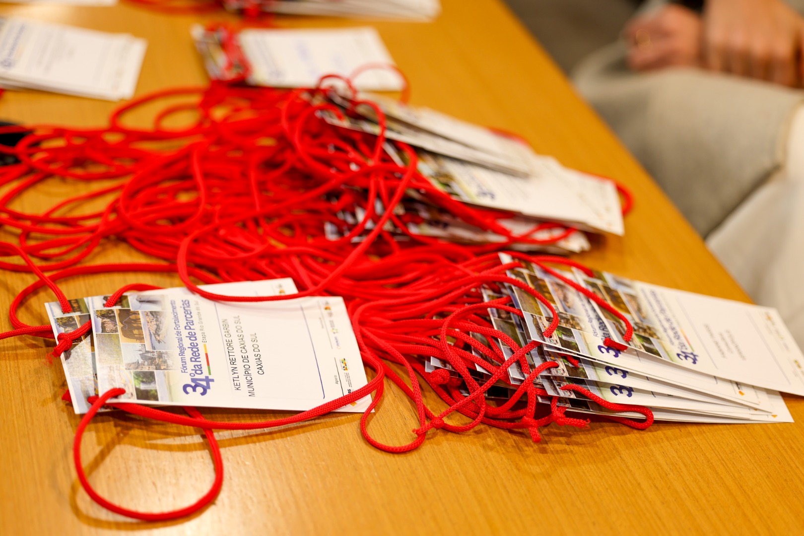 13.08.2025 - 34º Fórum Regional de Fortalecimento da Rede de Parcerias - Etapa RS