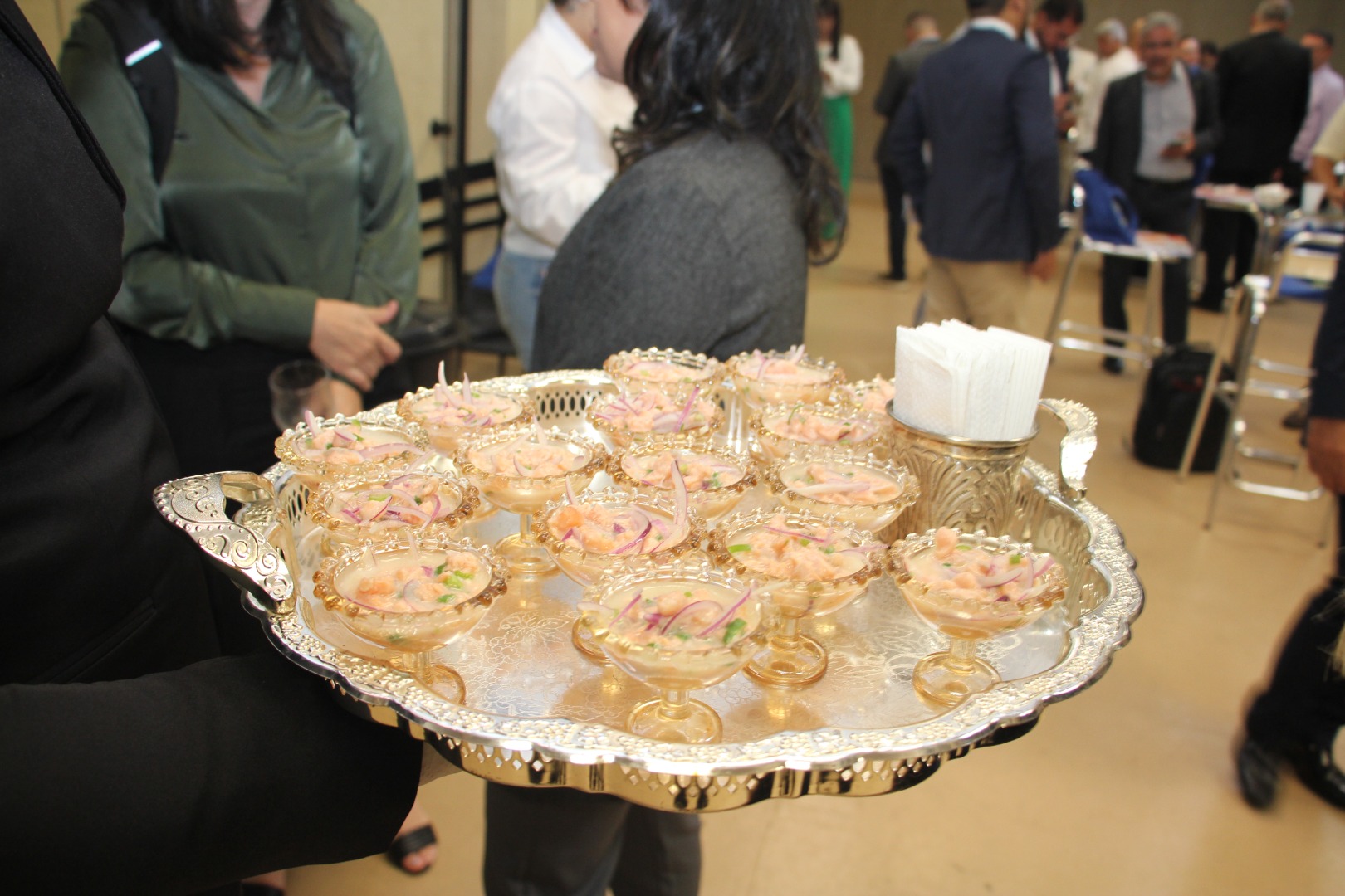Lançamento do Livro 10 anos da Rede de Parcerias - dia 02-06-2025 (195).JPG