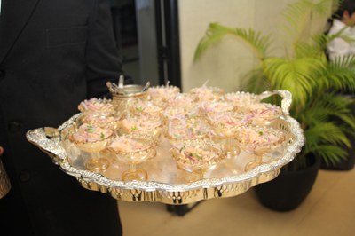 Lançamento do Livro 10 anos da Rede de Parcerias - dia 02-06-2025 (223).JPG