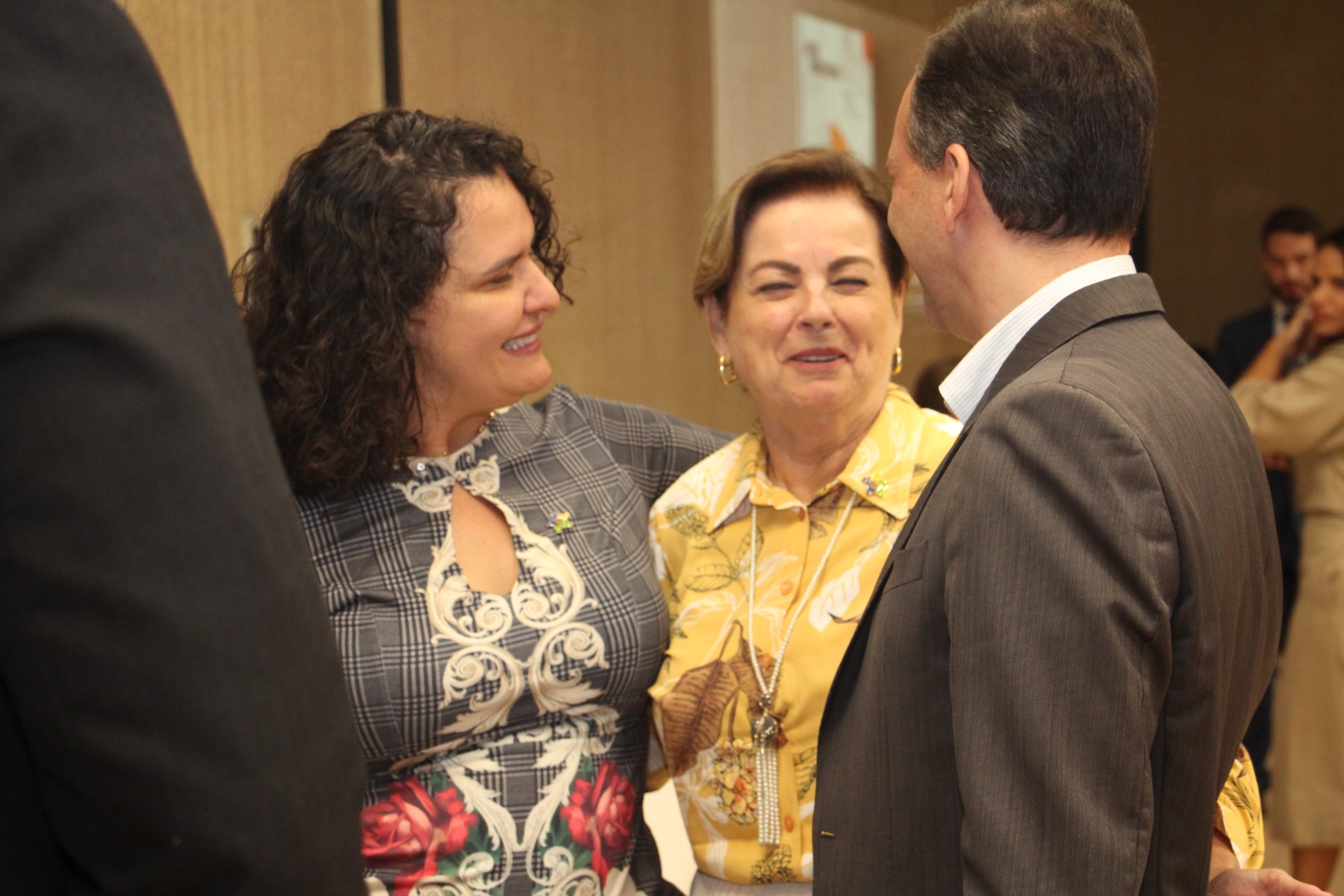 Lançamento do Livro 10 anos da Rede de Parcerias - dia 02-06-2025 (299).JPG
