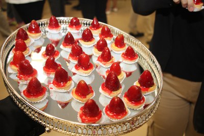 Lançamento do Livro 10 anos da Rede de Parcerias - dia 02-06-2025 (301).JPG