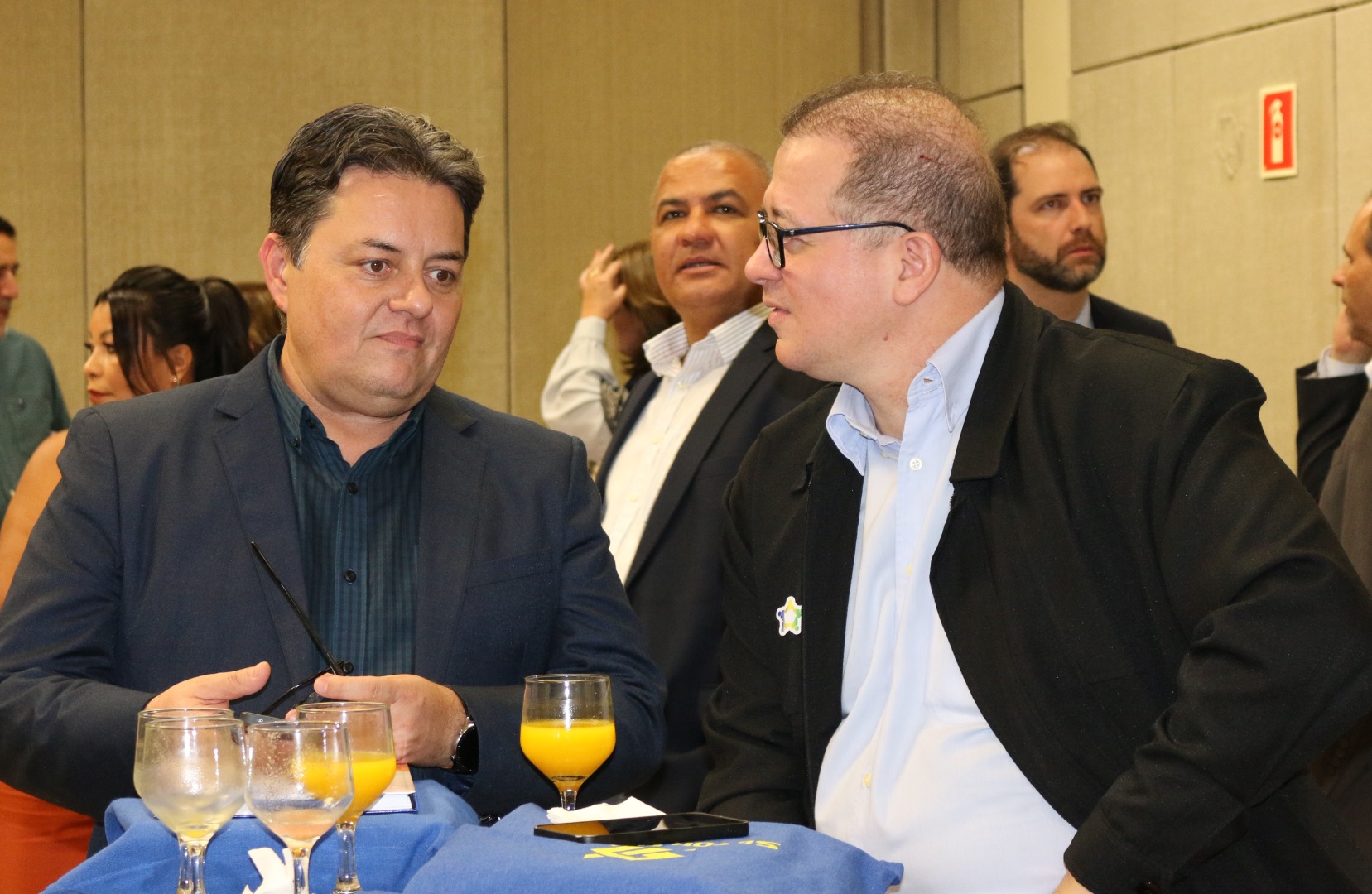 Lançamento do Livro 10 anos da Rede de Parcerias - dia 02-06-2025 (339).JPG