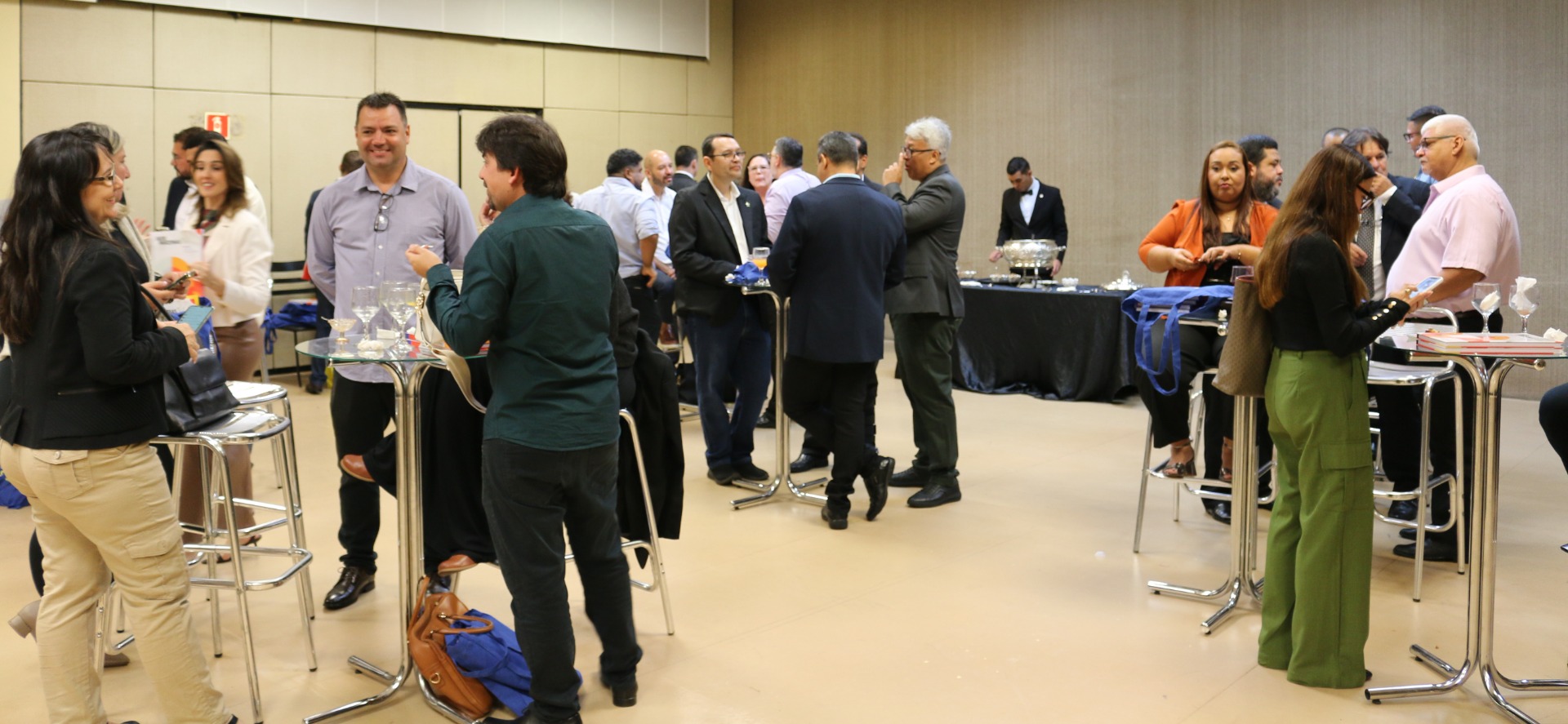 Lançamento do Livro 10 anos da Rede de Parcerias - dia 02-06-2025 (357).JPG