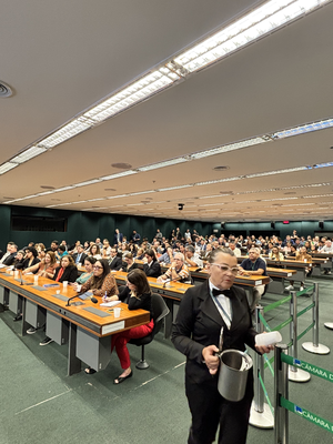 05.02.2026 Palestra sobre emendas especiais na CMO - Câmara dos Deputados
