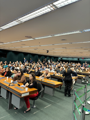 05.02.2026 Palestra sobre emendas especiais na CMO - Câmara dos Deputados