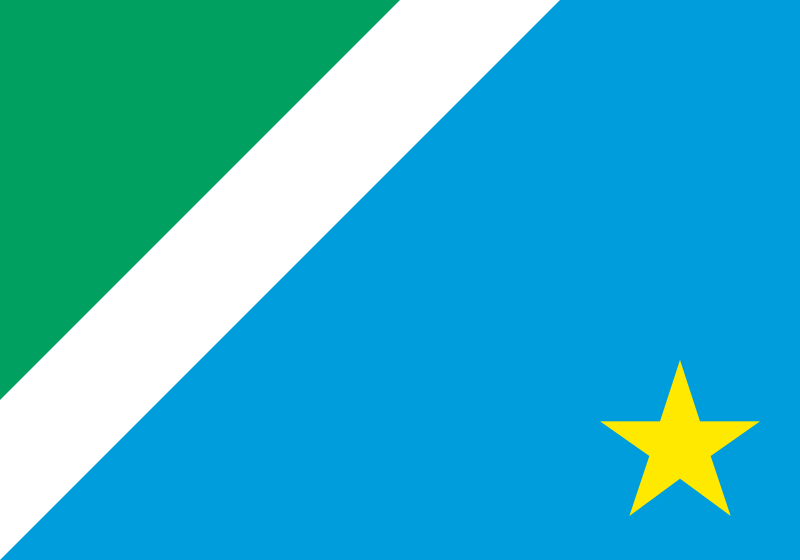 bandeira do mato grosso do sul.png
