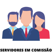 Servidores em Comissão.png