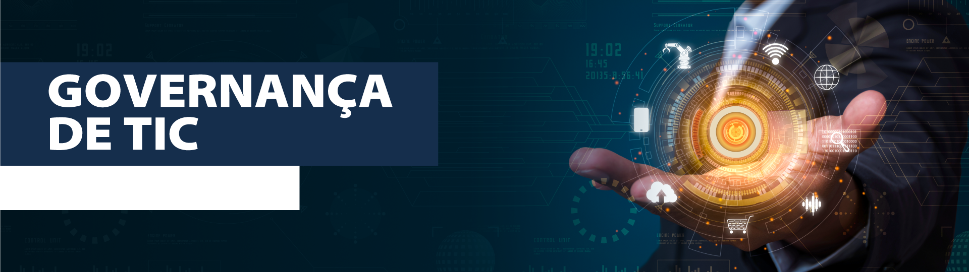 Banner_GOV_TIC.png