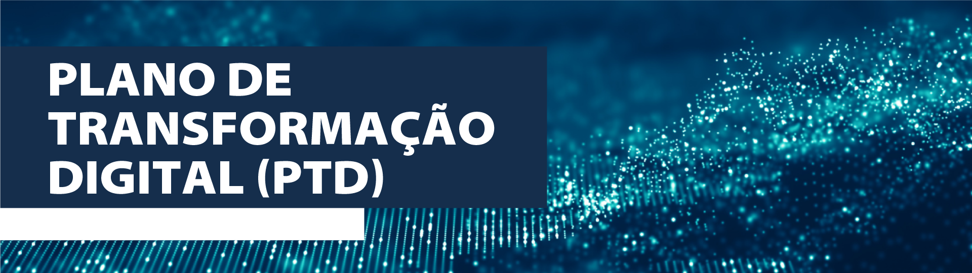 banner_PTD.png