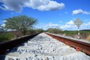 Grupo de trabalho vai discutir aperfeiçoamento das renovações ferroviárias antecipadas