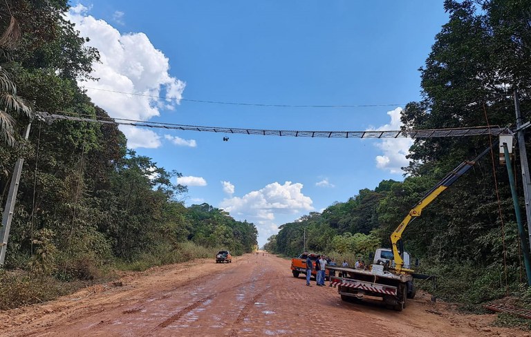Passagem de fauna na BR-319/AM