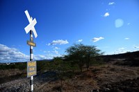 Ferrovias Fico e Fiol: audiências públicas tratam da concessão até sexta-feira (14)