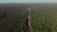 Rumo à COP30, Ministério dos Transportes impulsiona infraestrutura sustentável na Amazônia