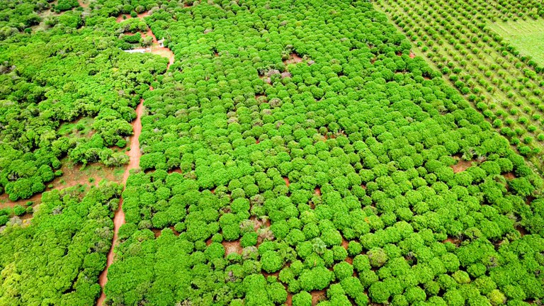 WhatsApp Image 2025-11-06 at 10.32.43.jpeg