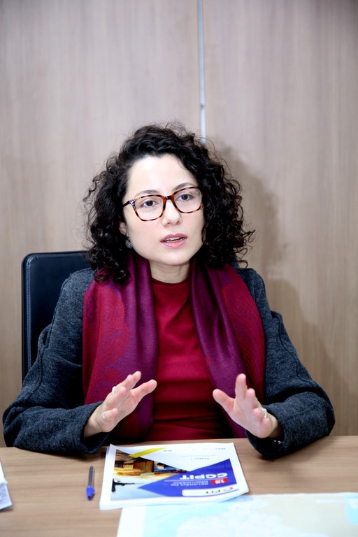 GABRIELA AVELINO SFPLAN.jpeg