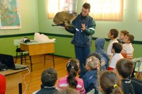 Gestão ambiental de projetos de transporte estimula a preservação