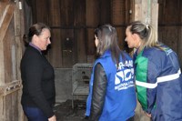 Mais de 130 animais são resgatados pela Gestão Ambiental na BR-448