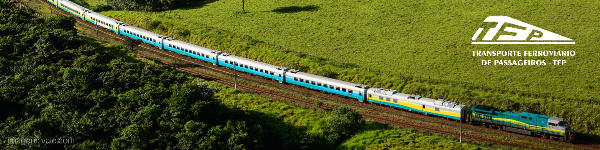 banner escolhido1.jpg