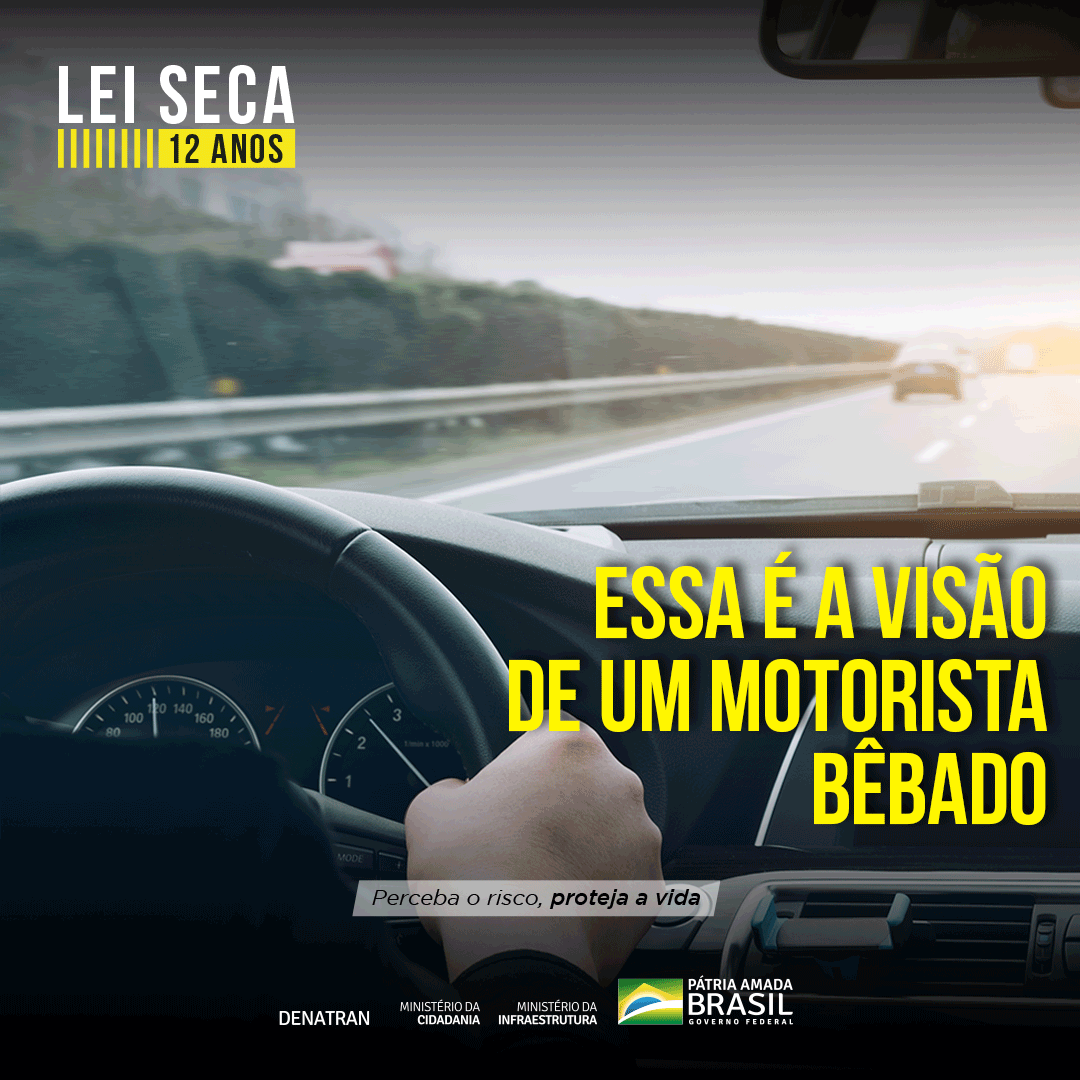 13 1 GIF motorista bebado