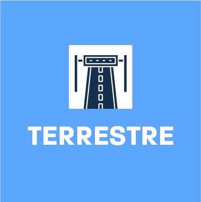 banner escrito terrestre