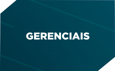 GERENCIAIS2.png