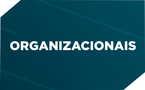 ORGANIZACIONAIS2.png