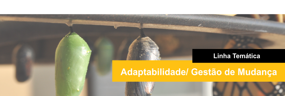 Adaptabilidade e Gestão de Mudança Banner.png