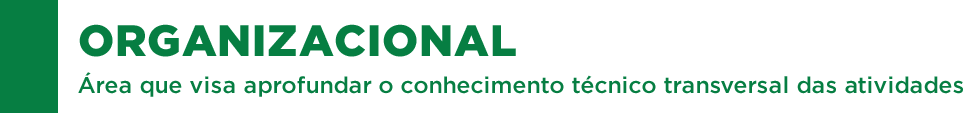 organizacional.png