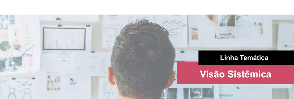 Visão Sistêmica Banner.png