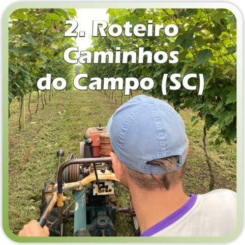 2. Roteiro Caminhos do Campo (SC).png