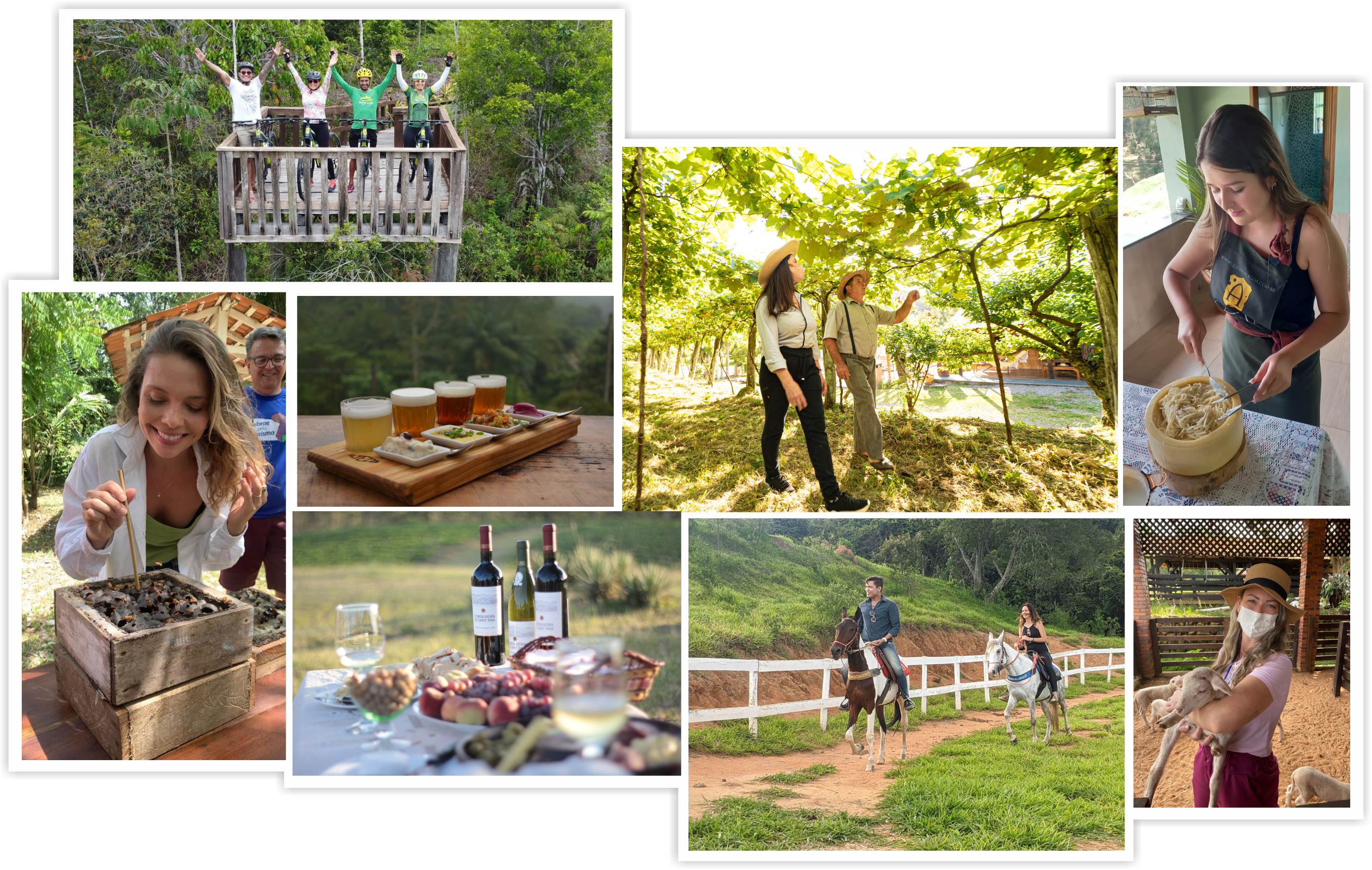 mosaicofotosfrontbrasilrural2.png