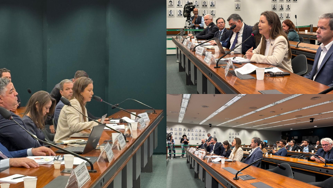 Ministério do Turismo participa de audiência pública na Câmara dos Deputados sobre o transporte aéreo brasileiro
