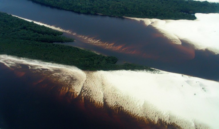 28.04.21_Regionalização Amazonas.jpg