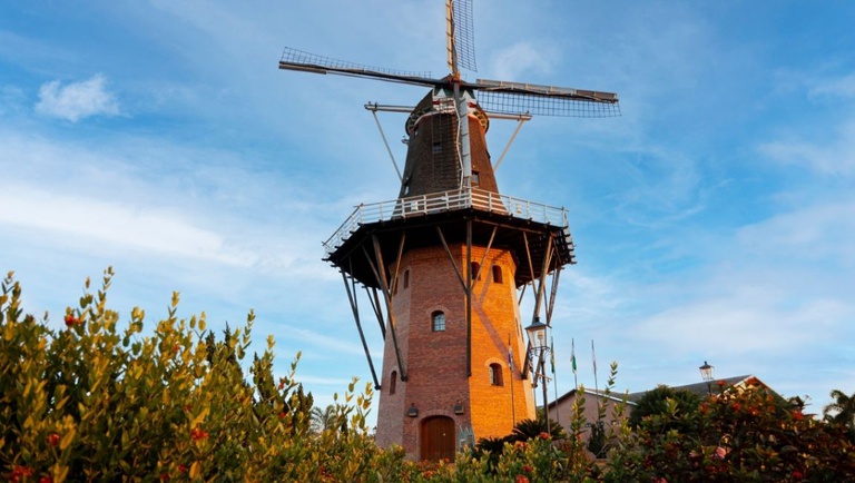 MTur holambra (1).jpg