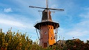 MTur holambra (1).jpg